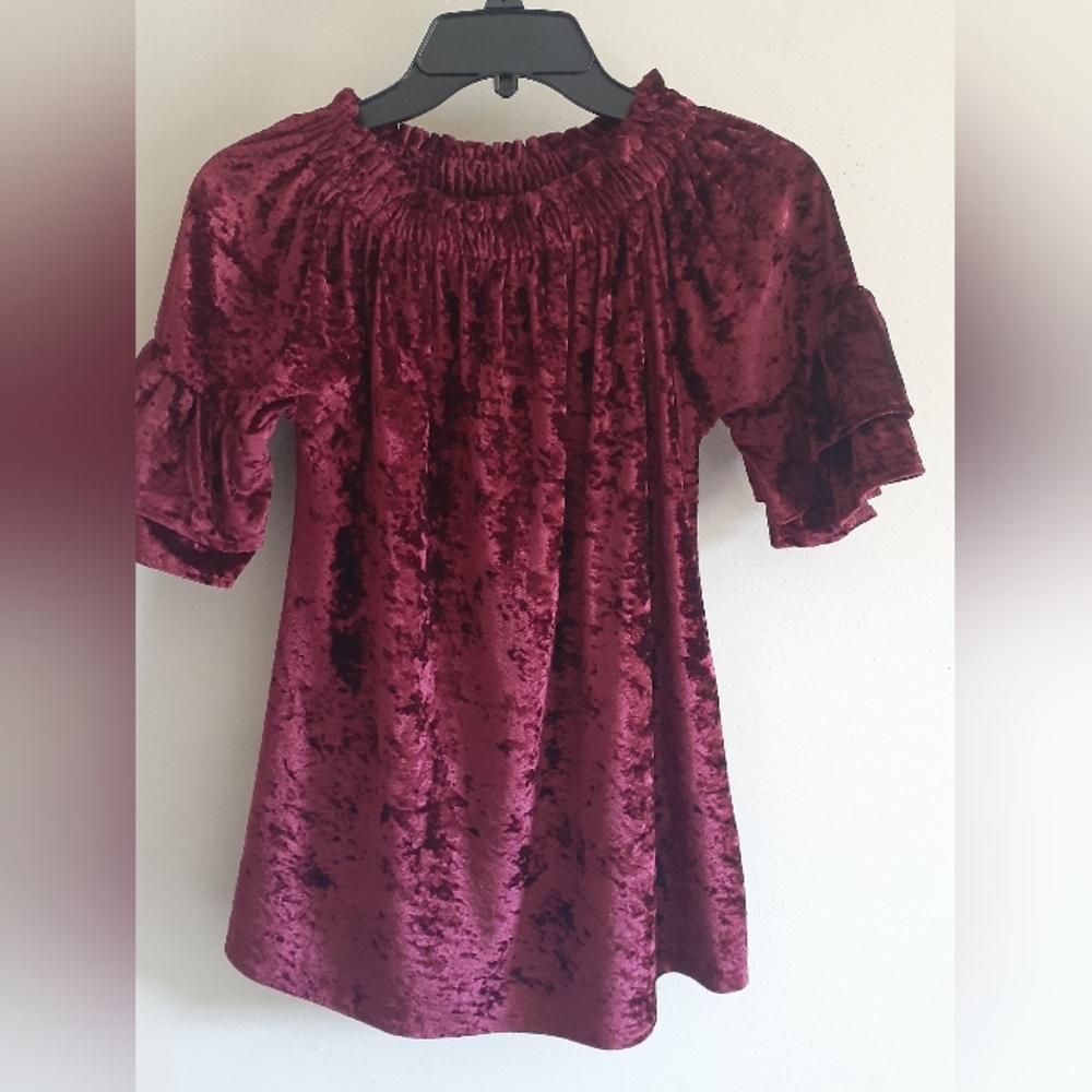Velvet Blouse